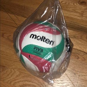 Molten volleyball